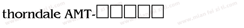 thorndale AMT字体转换